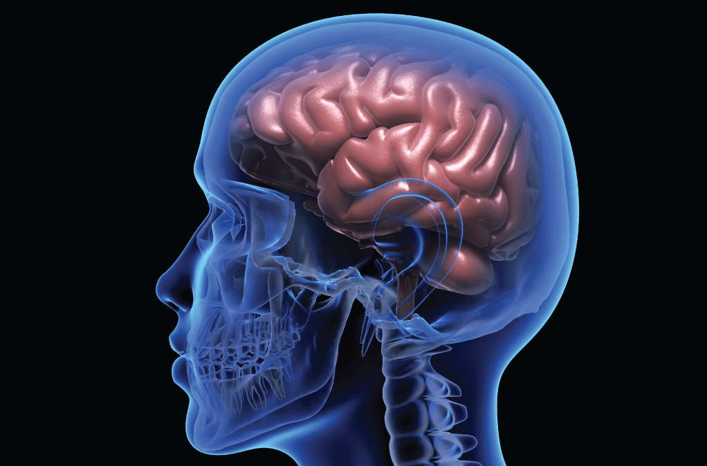 healthier brain