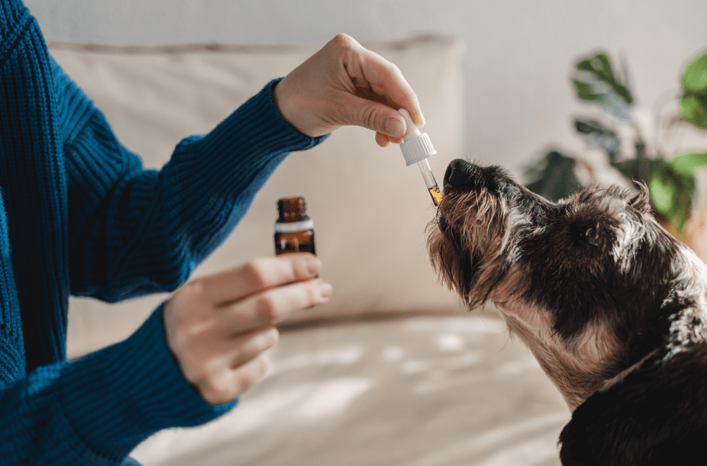 cbd manufacturer, cbd, cbd private label, cbd whiet label, partners process