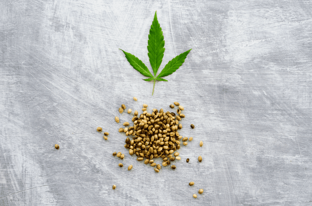 cbd manufacturer, cbd, cbd private label, cbd whiet label, partners process