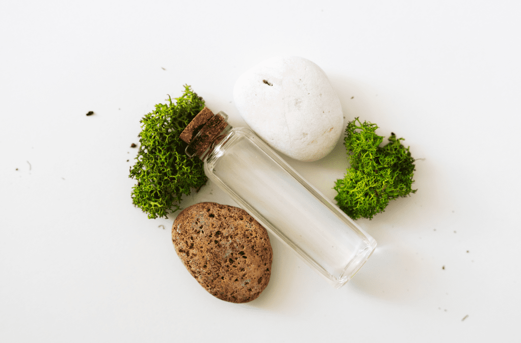 how to reset your metabolism, yemaya organic, luma by laura, sea moss