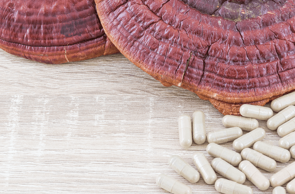 reishi and supplements made with reishi spores
