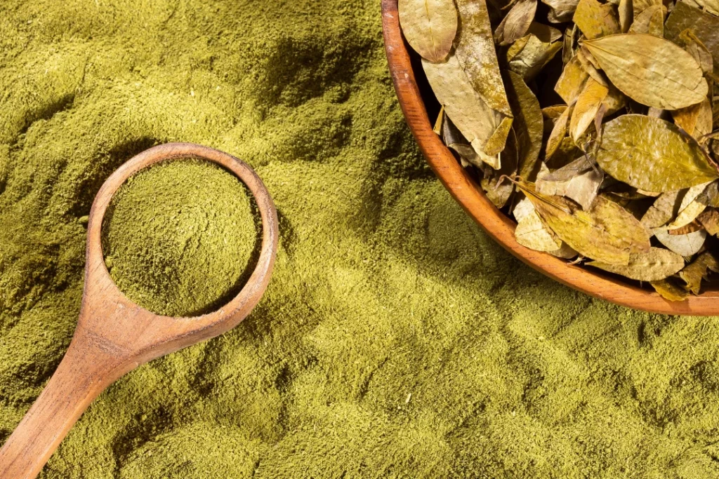 Dried Coca Leaves used for boosting performance