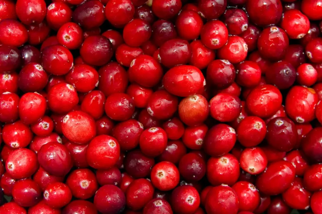 close up shot of Cranberry
best diet for autoimmune