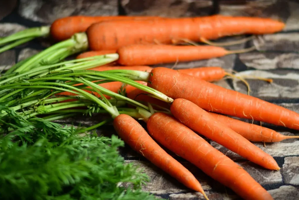 close up shot of Carrot