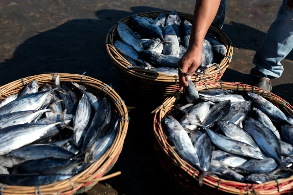 Fishery system.