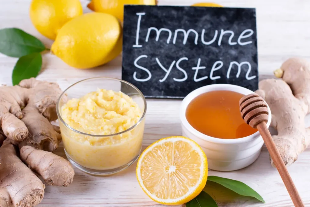 Immune system food sources.
