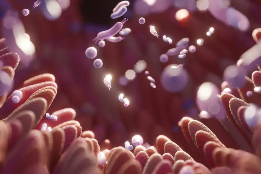Gut microbes.