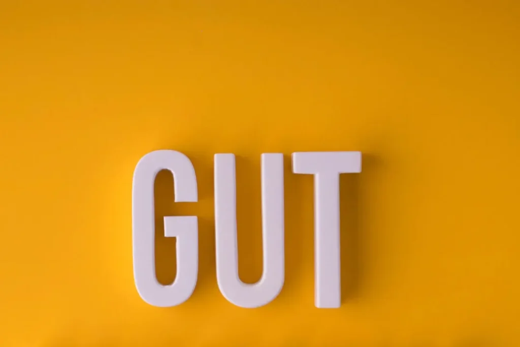 Gut health is important for a healthy life. 