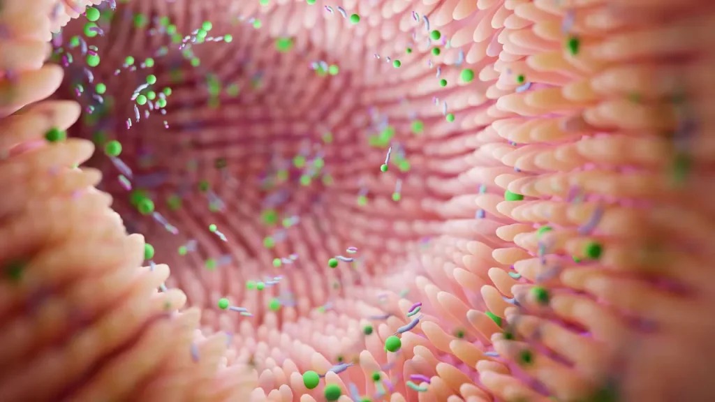 Gut microbes.