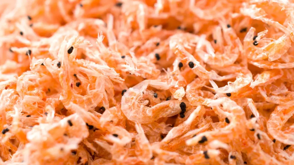 Krill fish.